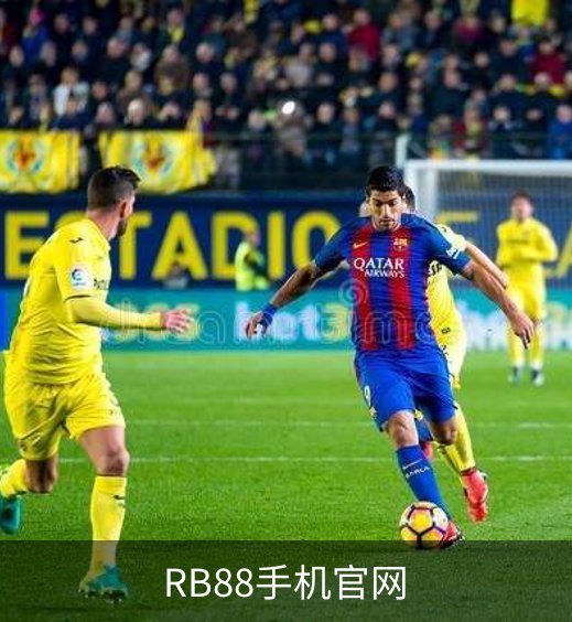 RB88手机官网简介